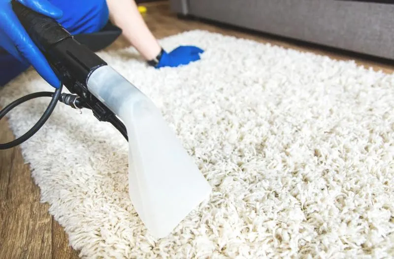 Jaką chemię wybrać do skutecznego prania dywanów?