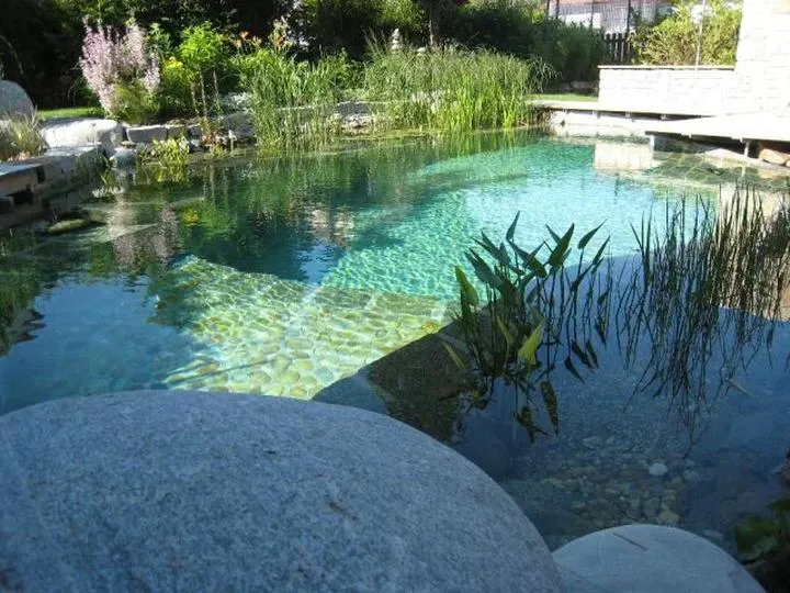 Sekrety budowy idealnego stawu kąpielowego w ogrodzie