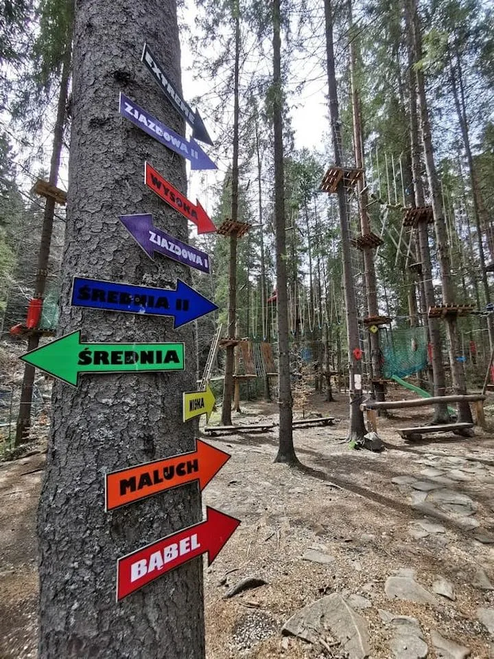 Budowa parku linowego