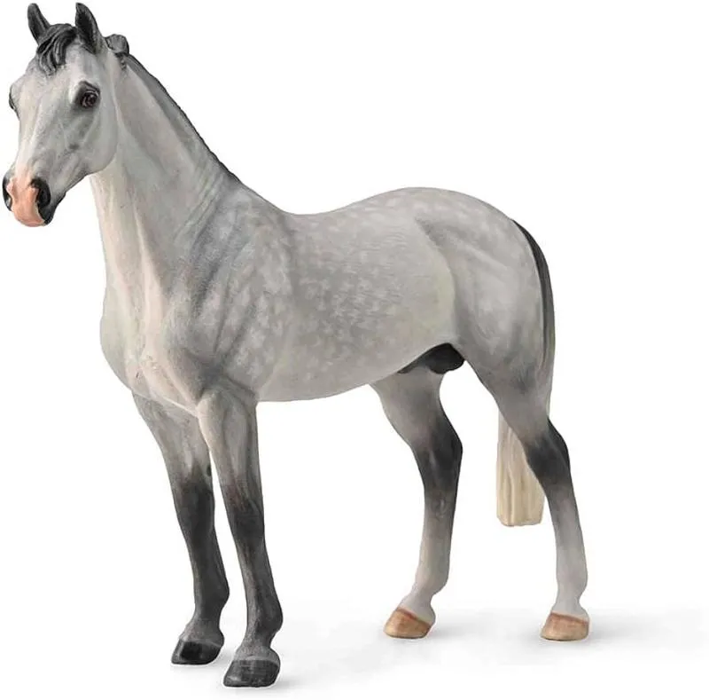 Elegancja samochodów