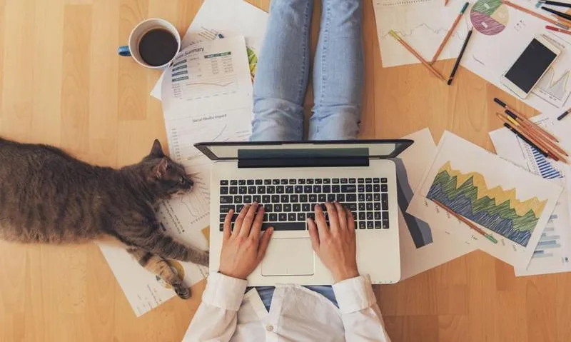 Formalności rejestracji firmy