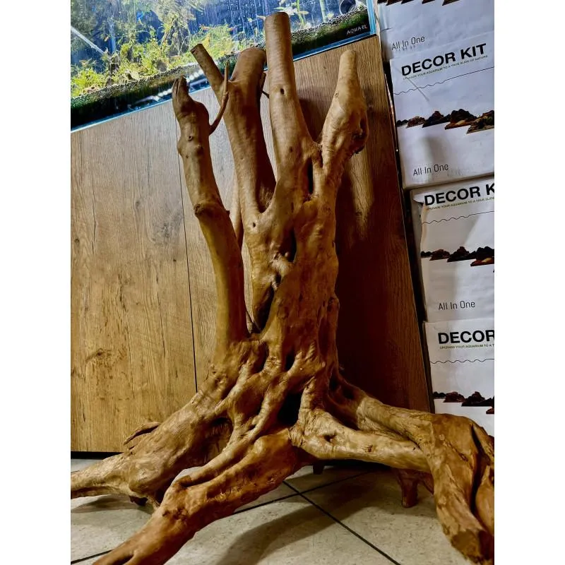 Malownicze lokalizacje przyroda i historia