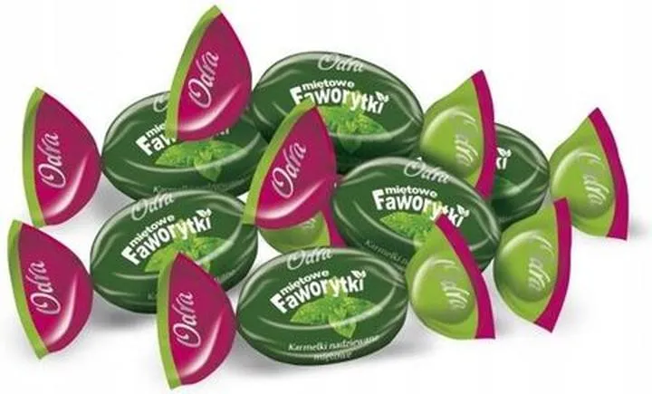 Planowanie budowy domu w Faworytkach