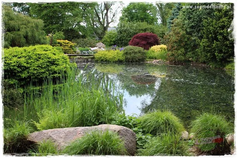 Wybór miejsca na staw kąpielowy