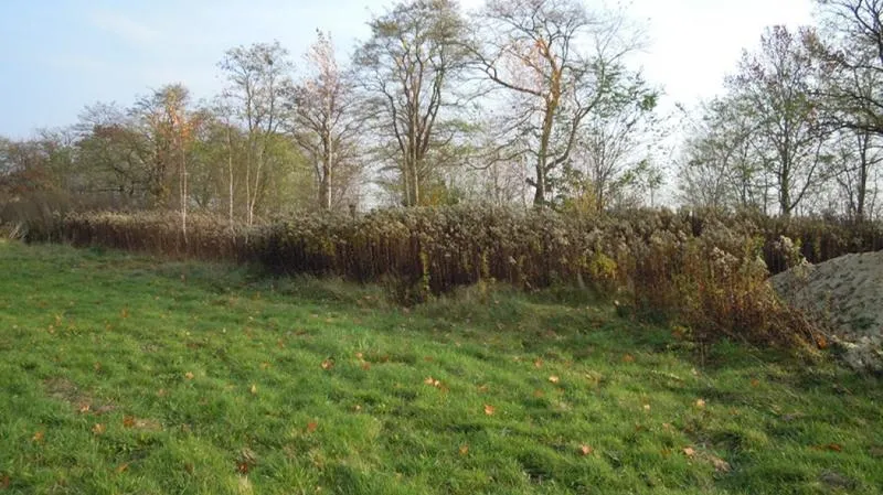 Wzór umowy użyczenia gruntu